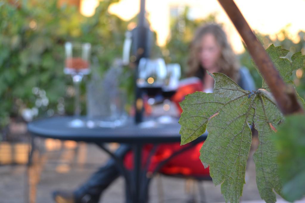 Chardonnay Lodge Напа Экстерьер фото