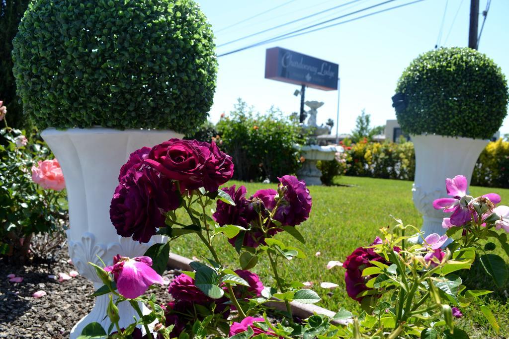 Chardonnay Lodge Напа Экстерьер фото